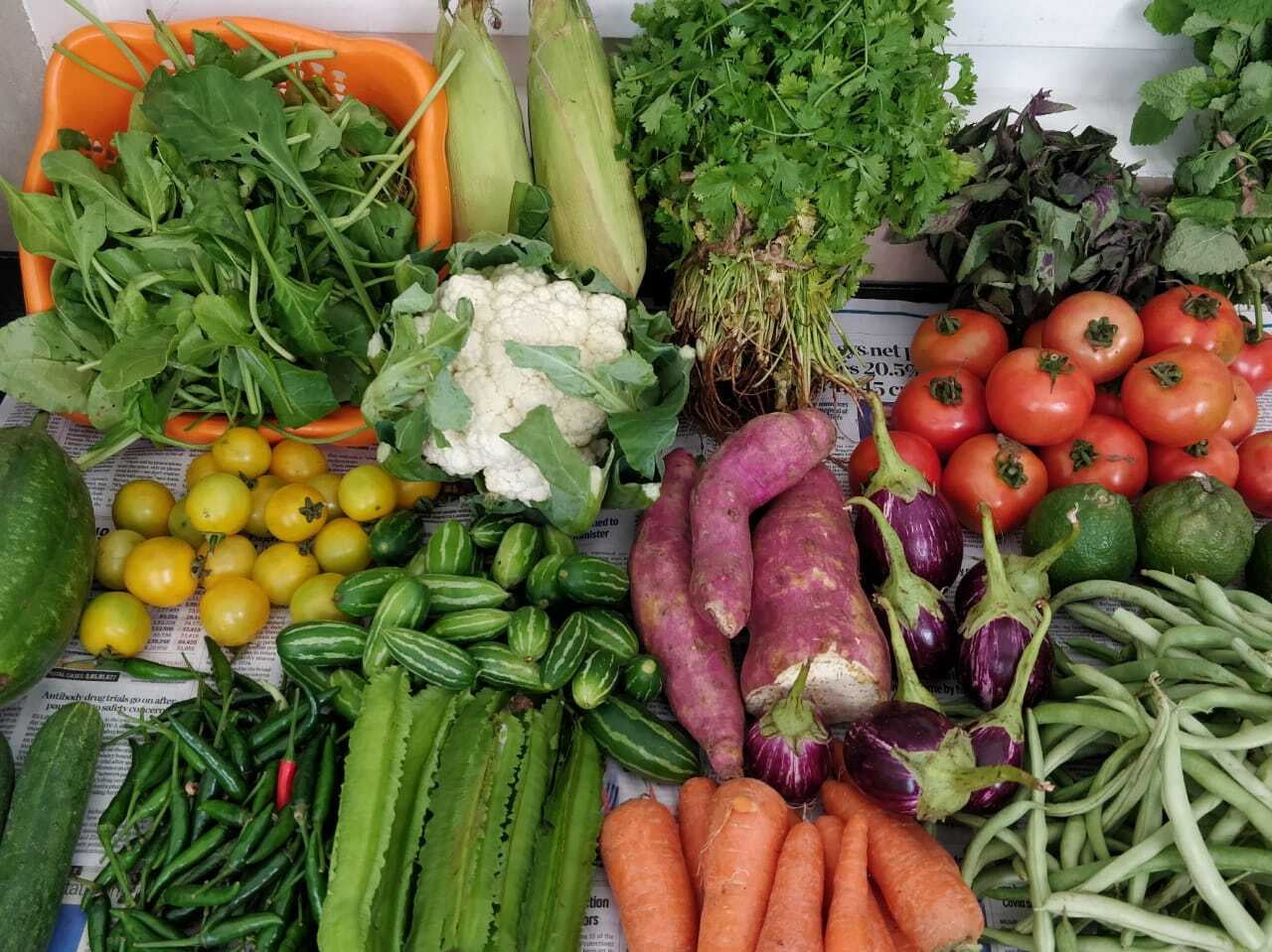 Why we all need to be foodwize, now more than ever before. 9 steps to get there!