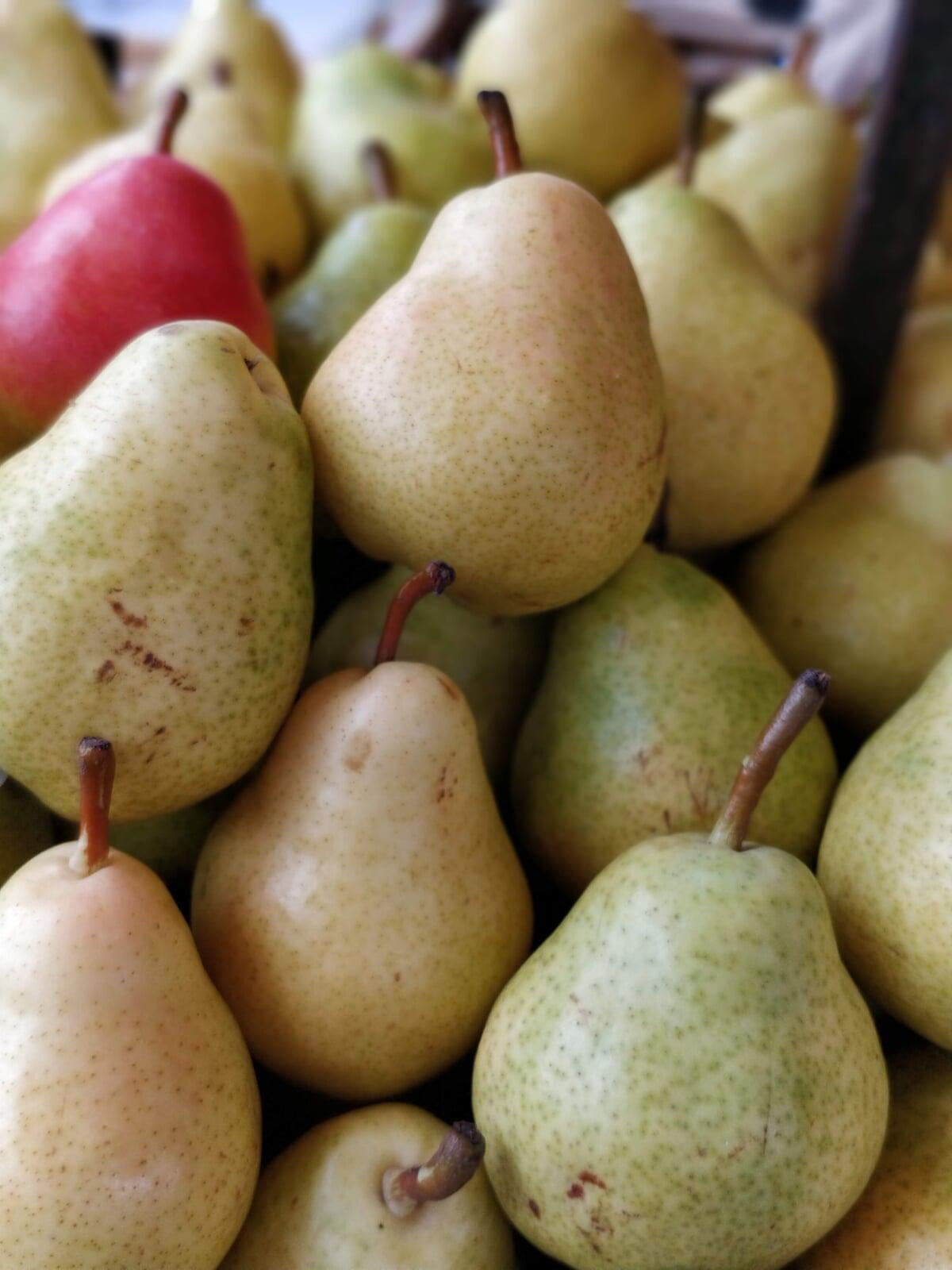 Pears